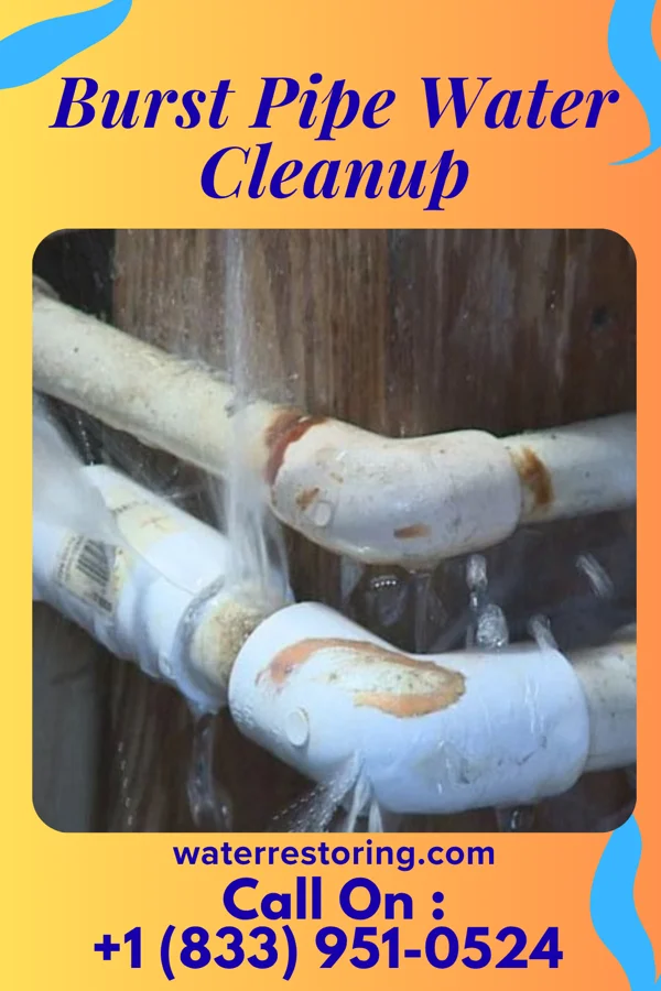 Burst Pipe Water Cleanup in Wadesboro, NC