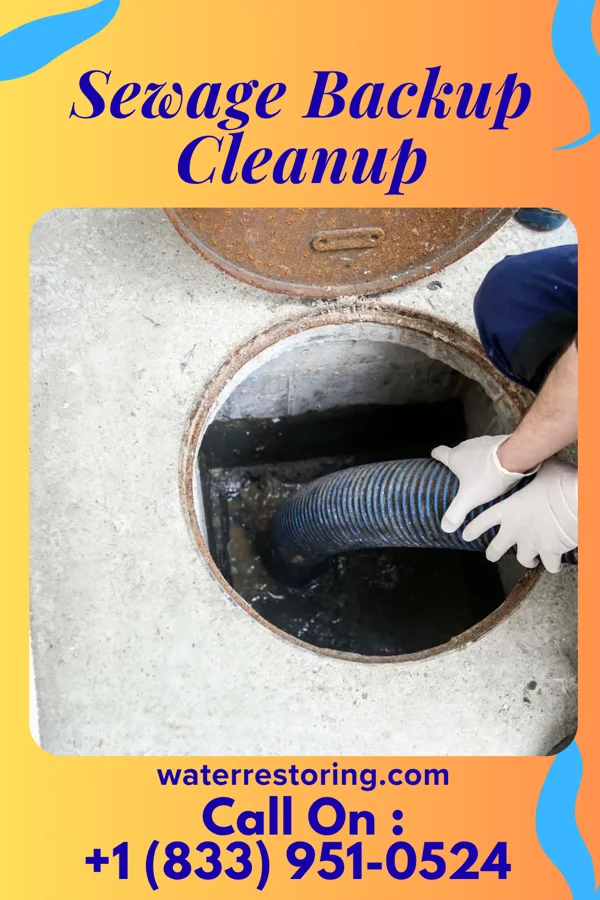 Sewage Backup Cleanup in Wadesboro, NC