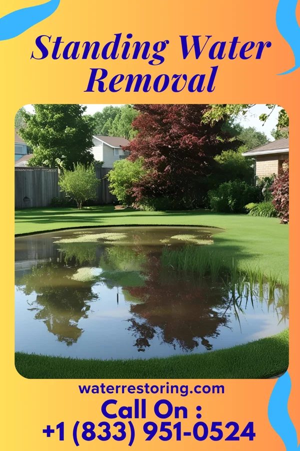 Standing Water Removal in Wadesboro, NC